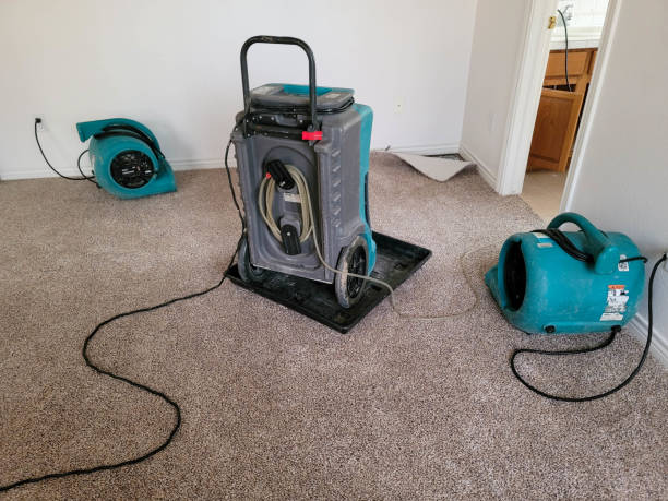 Best Professional water damage repair  in Boutte, LA