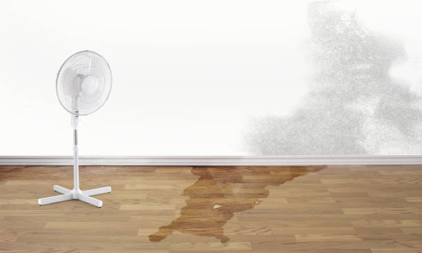 Best Water damage restoration company  in Boutte, LA