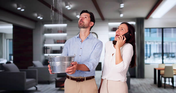 Best Basement water damage restoration  in Boutte, LA
